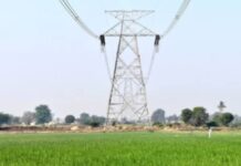 Big Win For Farmers: વીજ ટાવર અને હાઈટેન્શન લાઈનની જમીન વળતરમાં બજારભાવના બમણા દરે મળશે સહાય; જંત્રી આધારિત પ્રથાનો અંત Big Win For Farmers