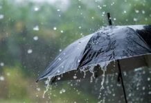 Gujarat Weather Update: ગુજરાત પર આગામી ૭ દિવસ મેઘરાજાની આફત, હવામાન વિભાગ દ્વારા દક્ષિણ ગુજરાત અને સૌરાષ્ટ્રમાં ‘રેડ એલર્ટ’ જાહેર Gujarat Weather Update