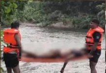 Tragedy at Polo Forest: પોળો ફોરેસ્ટમાં ગોઝારો રવિવાર, હરણાવ નદીમાં ડૂબવાથી ટીંટોઈના બે યુવકોના મોત Tragedy at Polo Forest