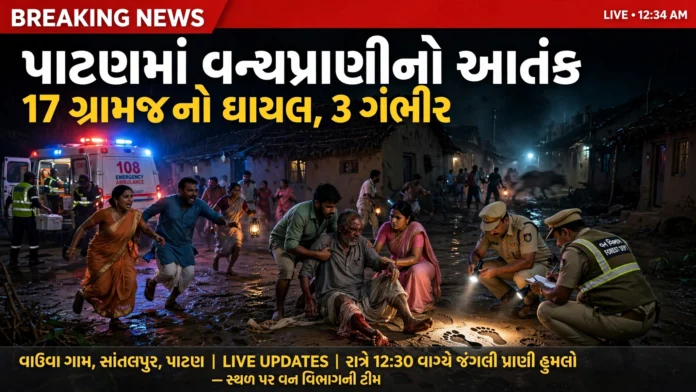 Wild Animal Attack in Patan