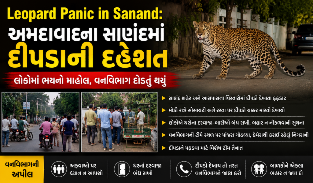 Leopard Panic in Sanand