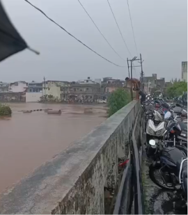 Defying Disaster