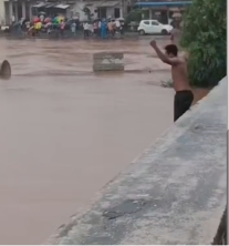Defying Disaster
