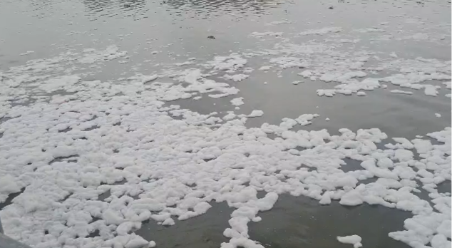 Sabarmati Pollution Crisis