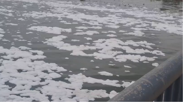 Sabarmati Pollution Crisis