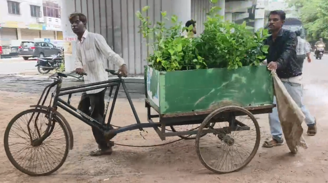 Vadodara Gets a New Green Escape