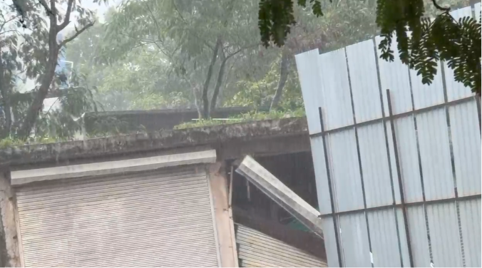 Monsoon Revives in Banaskantha