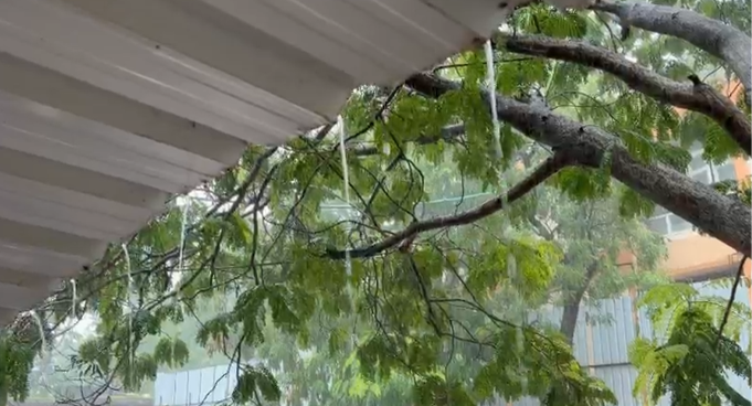 Monsoon Revives in Banaskantha