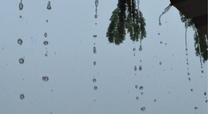 Monsoon Revives in Banaskantha