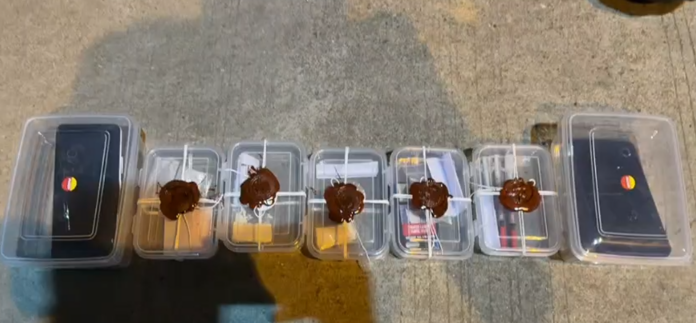 Crackdown on Narcotics