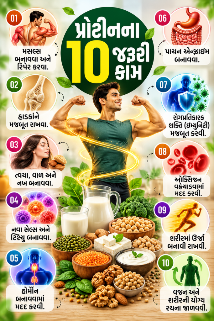 From Dal to Paneer