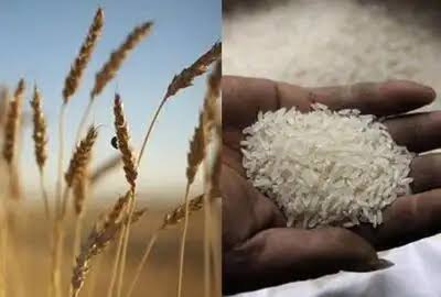 Rice Reduced; Bajra Increased