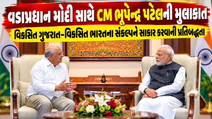 Gujarat Development in Focus