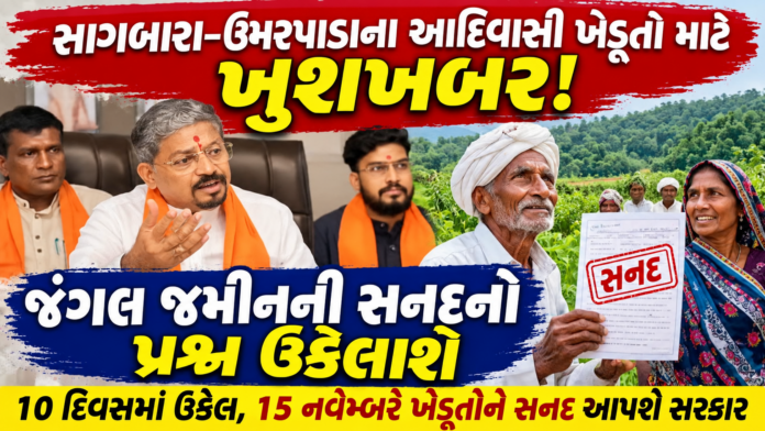 Relief for Tribal Farmers in Gujarat