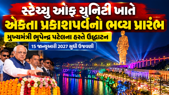 A Festival of Lights at Ekta Nagar