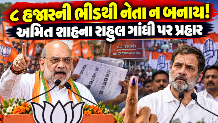 Amit Shah Attacks Congress Over SIR