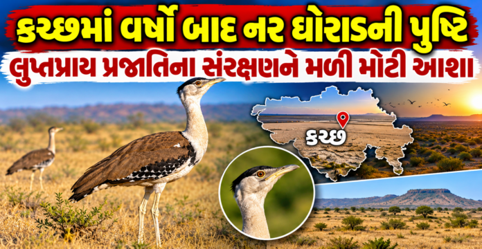 Kutch Wildlife Conservation